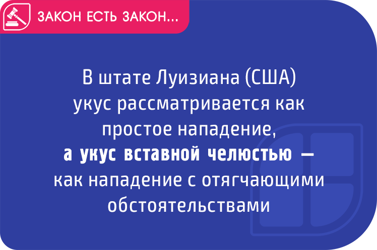 Нелепые американские законы и объяснение их появления