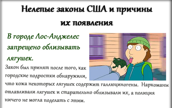 10 самых глупых и нелепых законов мира