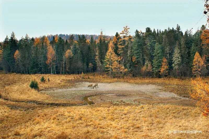 Различия между природным парком и национальным парком
