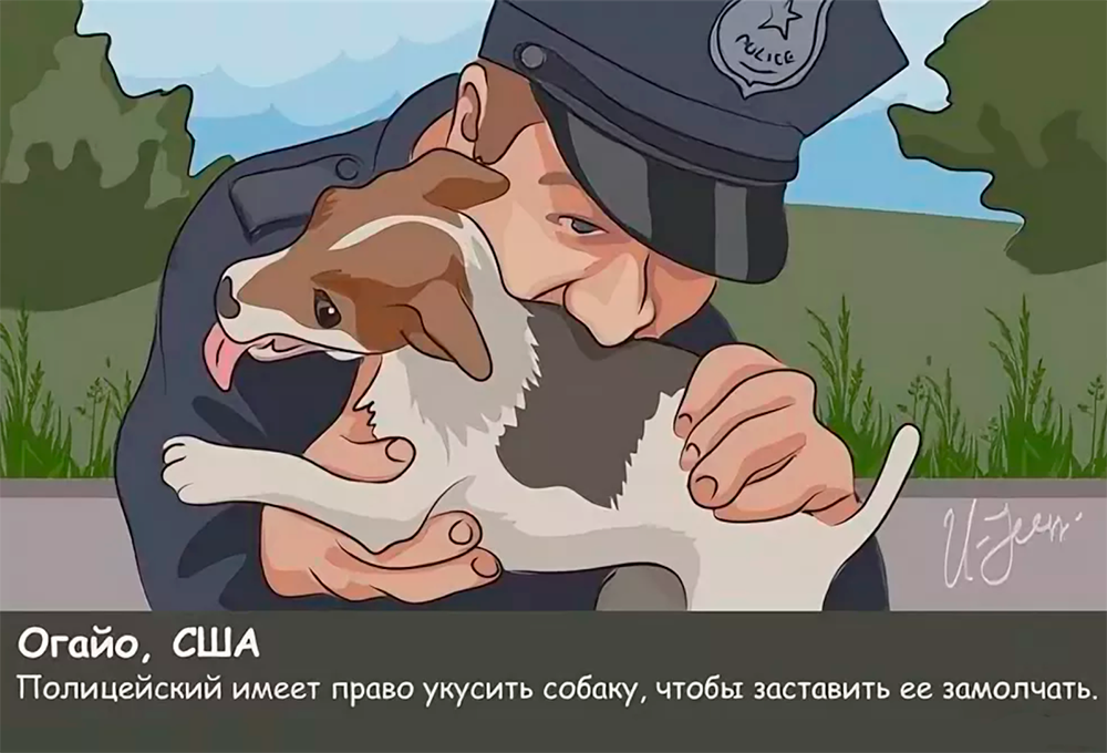 Странные действующие законы сша