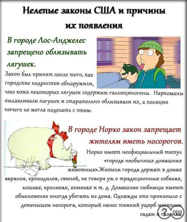 Самые странные и нелепые законы в сша | интересный сайт