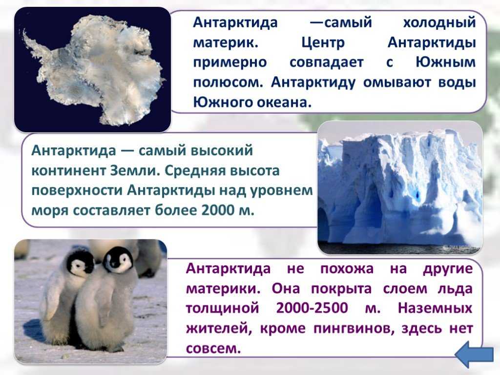 Антарктида