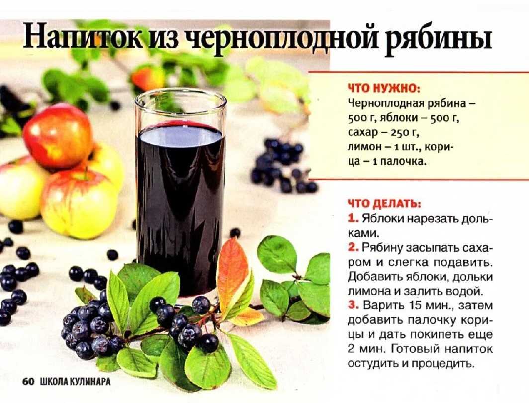 Чем полезна рябина: 6 лучших рецептов