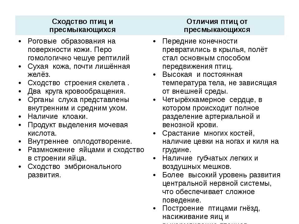 Млекопитающие отличаются от других позвоночных. чем млекопитающие отличаются от других животных
