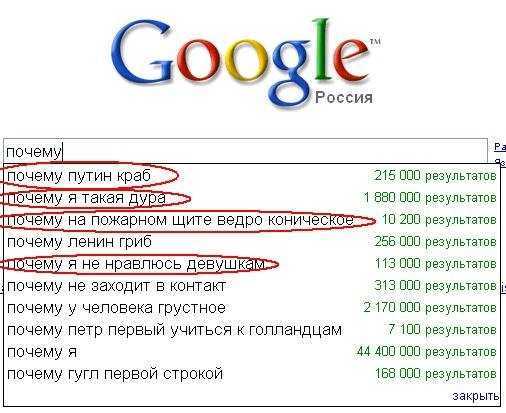 Семь необычных поисковых систем