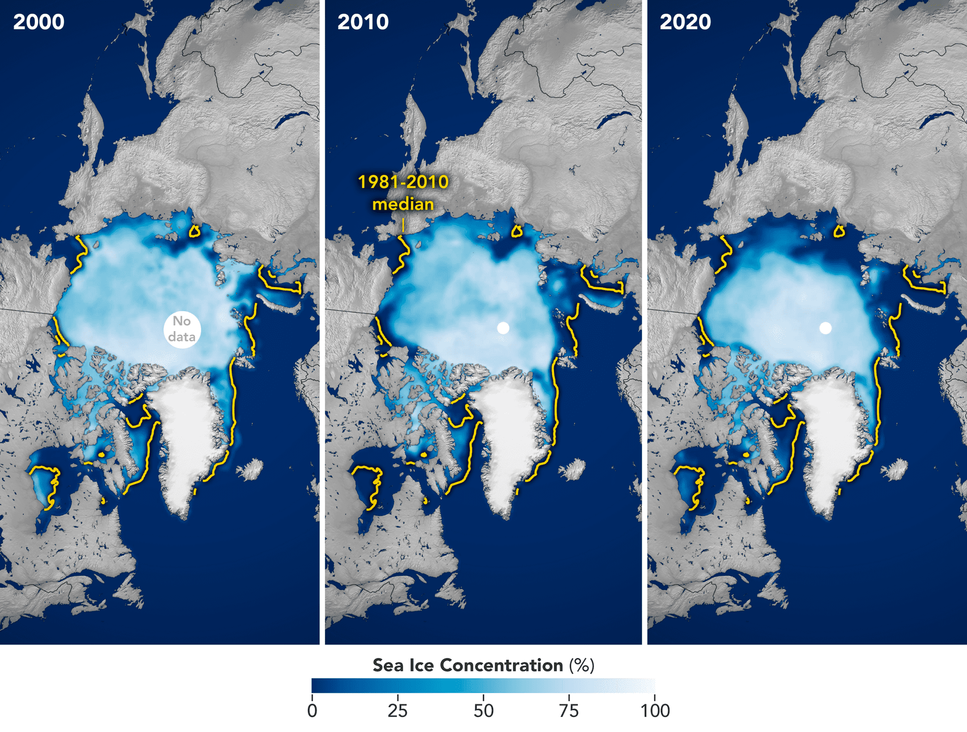 Arctic-news - ученые предупредили о катастрофе в арктике