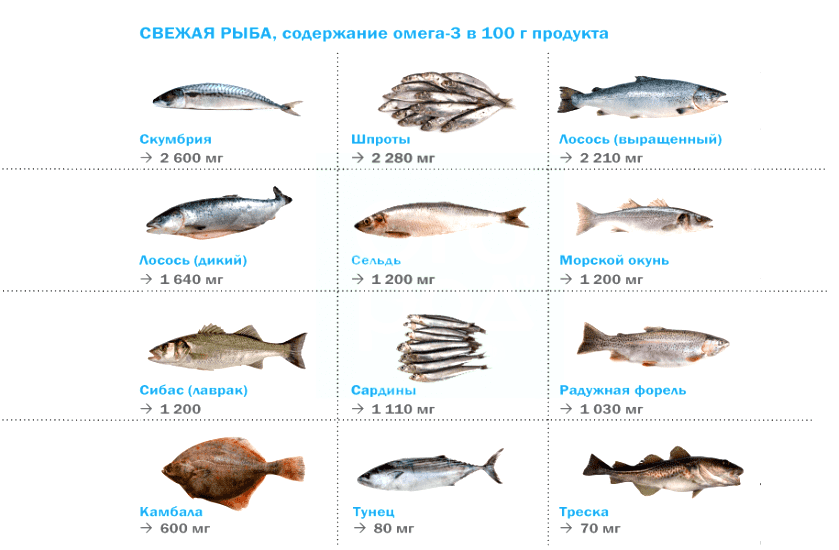 Полезен ли искусственно выращенный лосось | железный чемпион