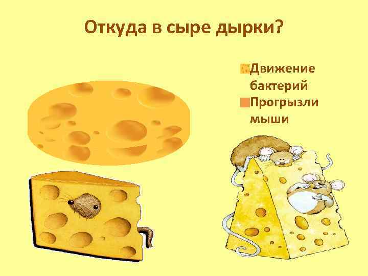 Откуда дырки в сыре: все не так просто - onwomen.ru