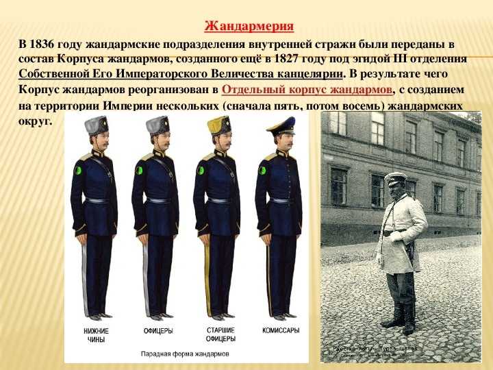 о том, кто такие жандармы, какие функции они выполняют, чем отличаются от полиции, почему так называются