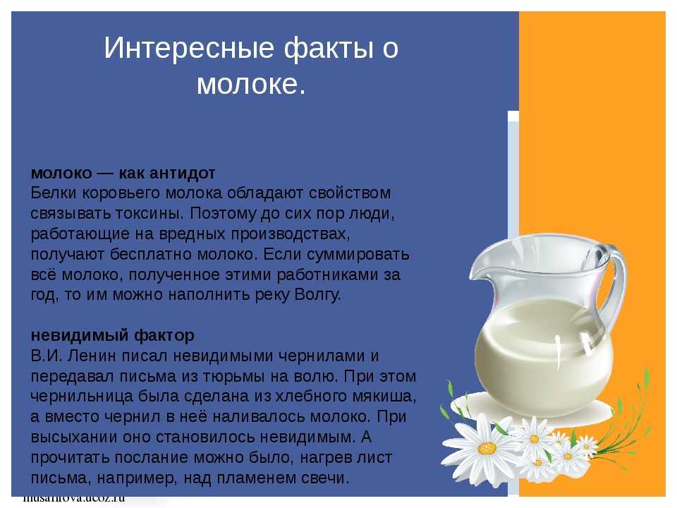 Факты про молоко
