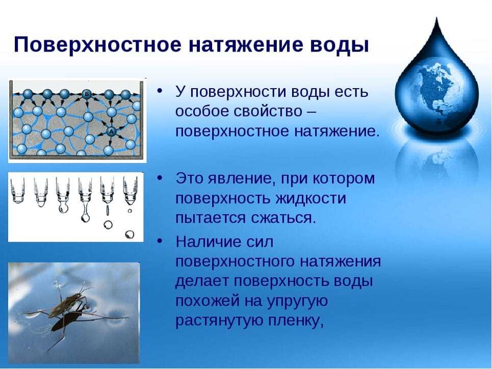От чего зависит поверхностное натяжение воды. урок на тему "поверхностное натяжение". понятие поверхностного натяжения