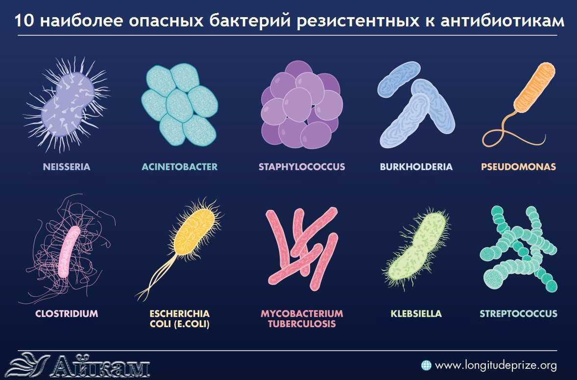 Движение сопротивления: как миру победить резистентность к антибиотикам