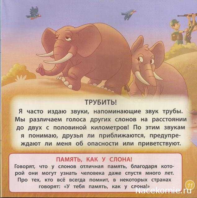 , как слоны общаются между собой, а также способны ли они бегать и прыгать