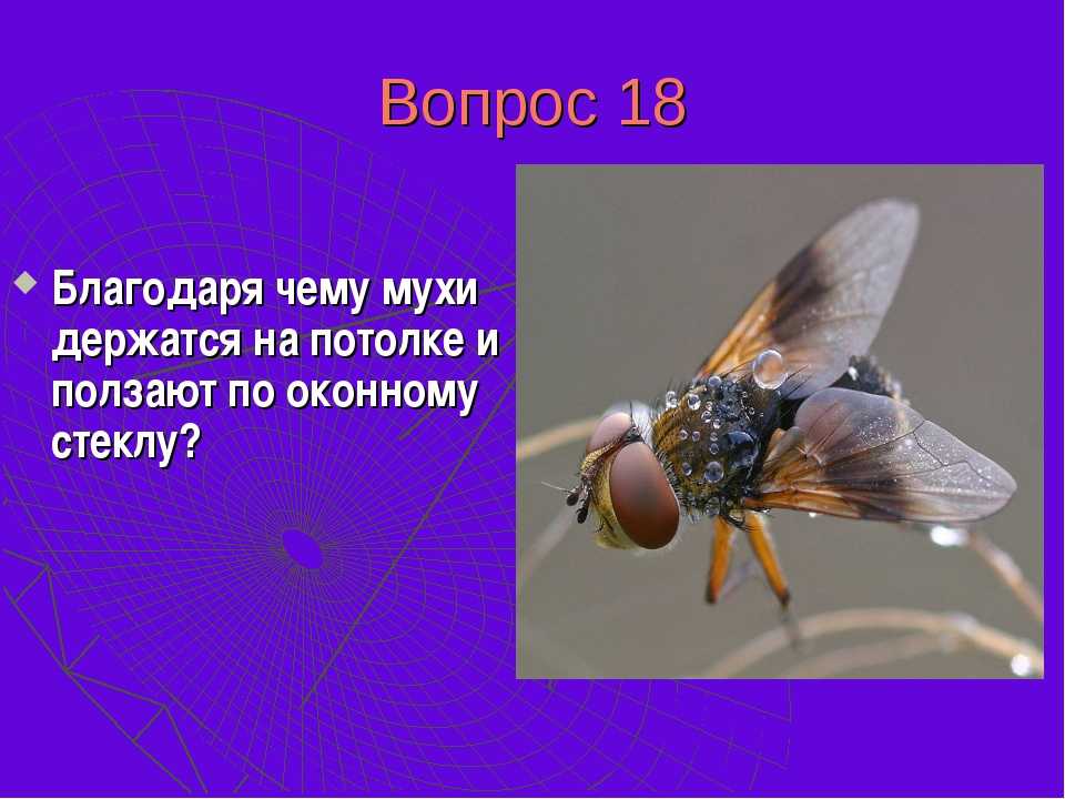 Музыкальные интервалы: какие они бывают и как их строить?