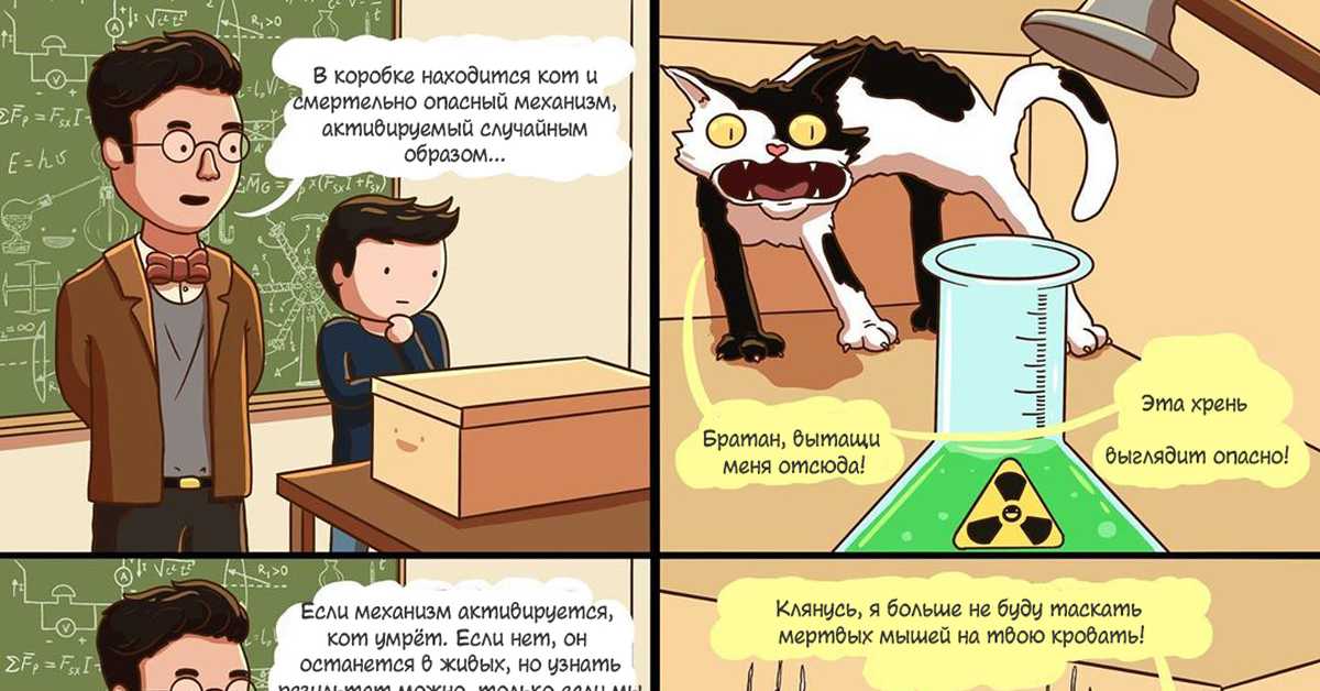 Кот шредингера: простыми словами о знаменитом эксперименте