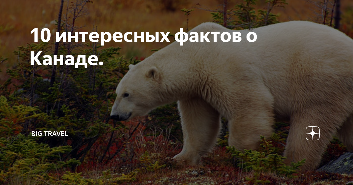 35+ интересных фактов о канаде