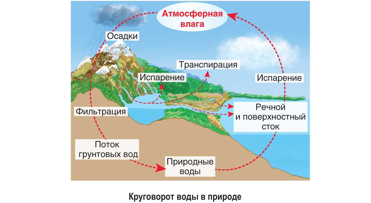 Что такое круговорот воды в природе?