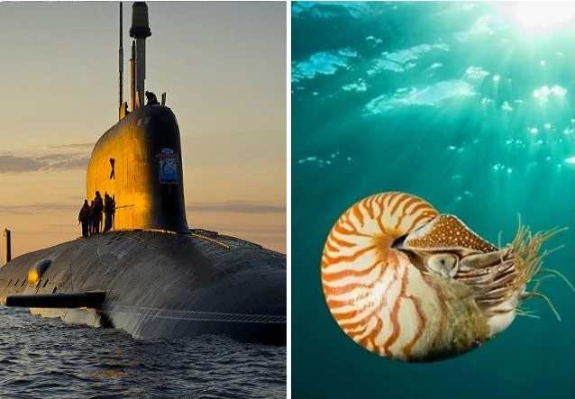 Как сделать аэрогель в домашних условиях