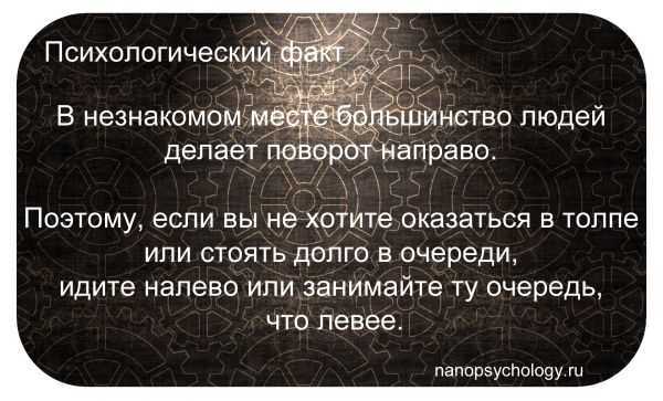 Интересные факты в психологии: 24 классных факта о психологии человека — шпильки — мода проходит, стиль остается