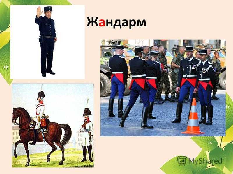 Кто такие жандармы? - wiki-otvet.ru