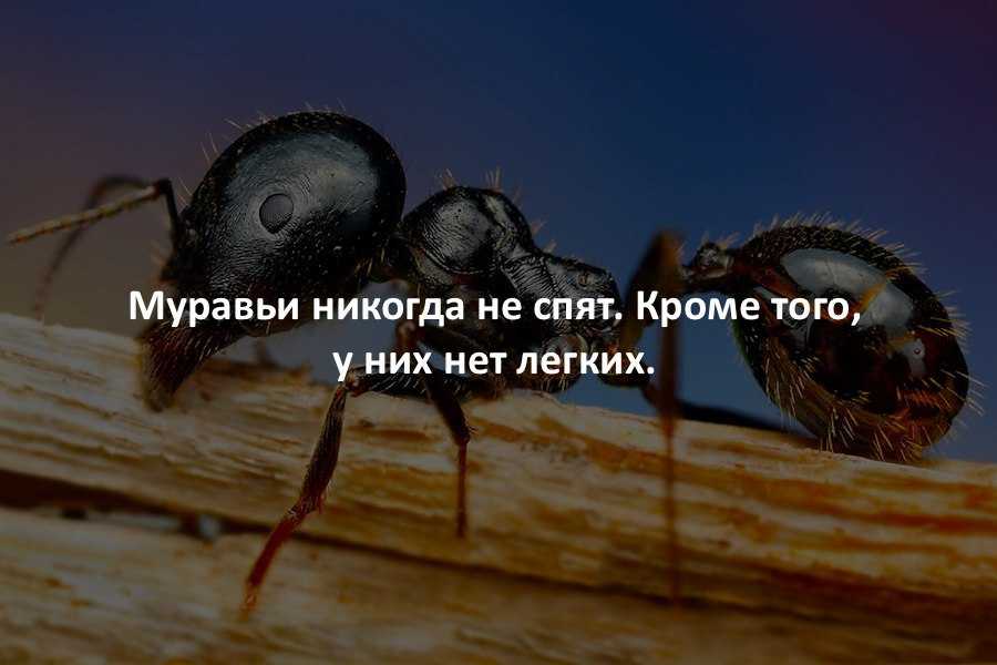 Интересные факты о погоде. 40 фактов о погоде в россии | новое время