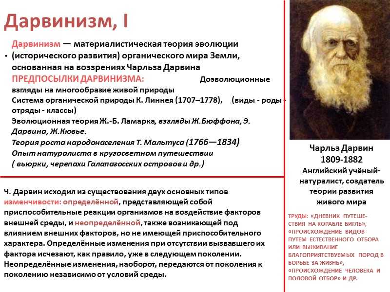 Совместная работа чарльза бэббиджа и ады лавлейс - 30 мая 2010 - блог - история развития ивт