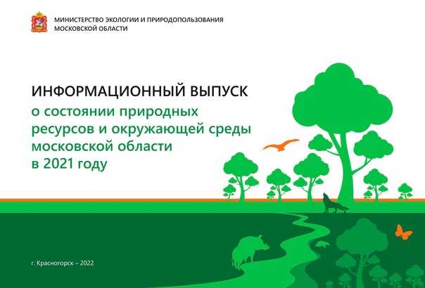 Сколько лет разлагается дерево в земле. как долго разлагается мусор, выброшенный нами? губки для посуды
