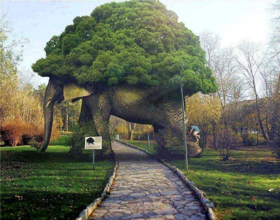 Самые интересные факты о космосе