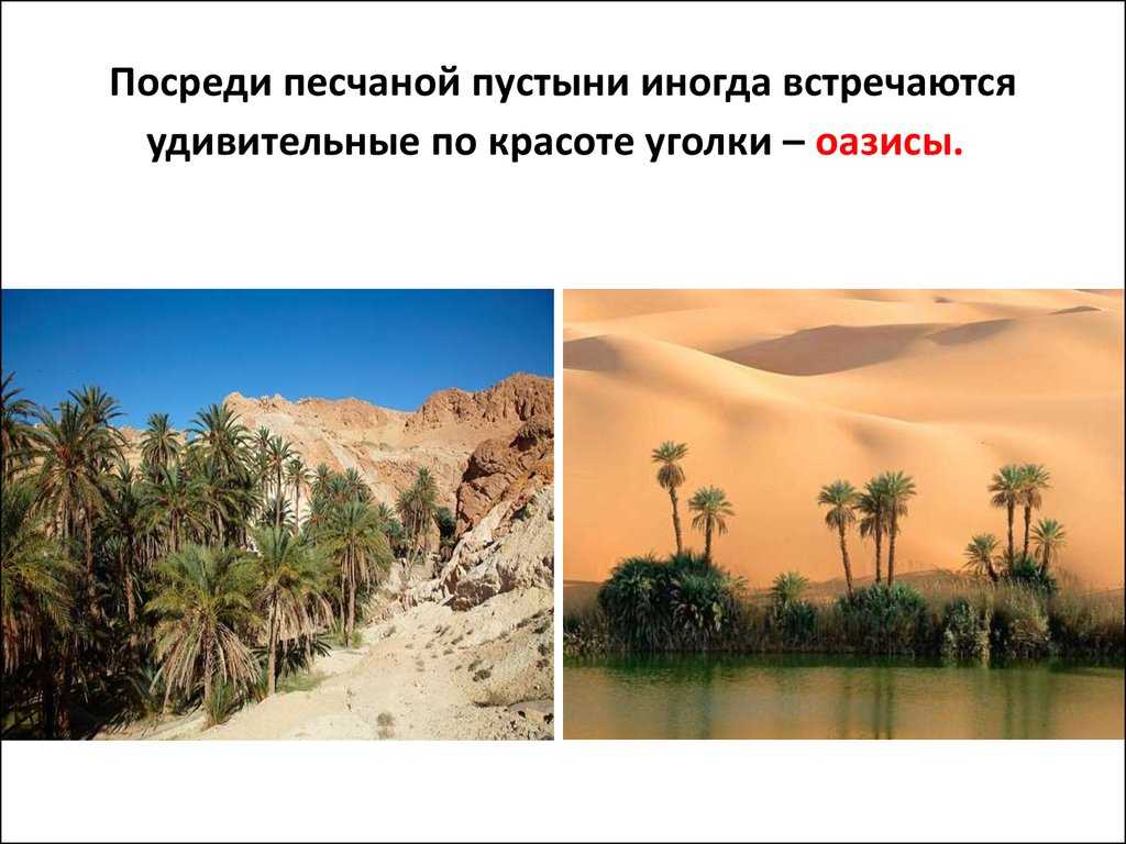 Пустыня гоби: история, местонахождение, размеры и температура - gkd.ru