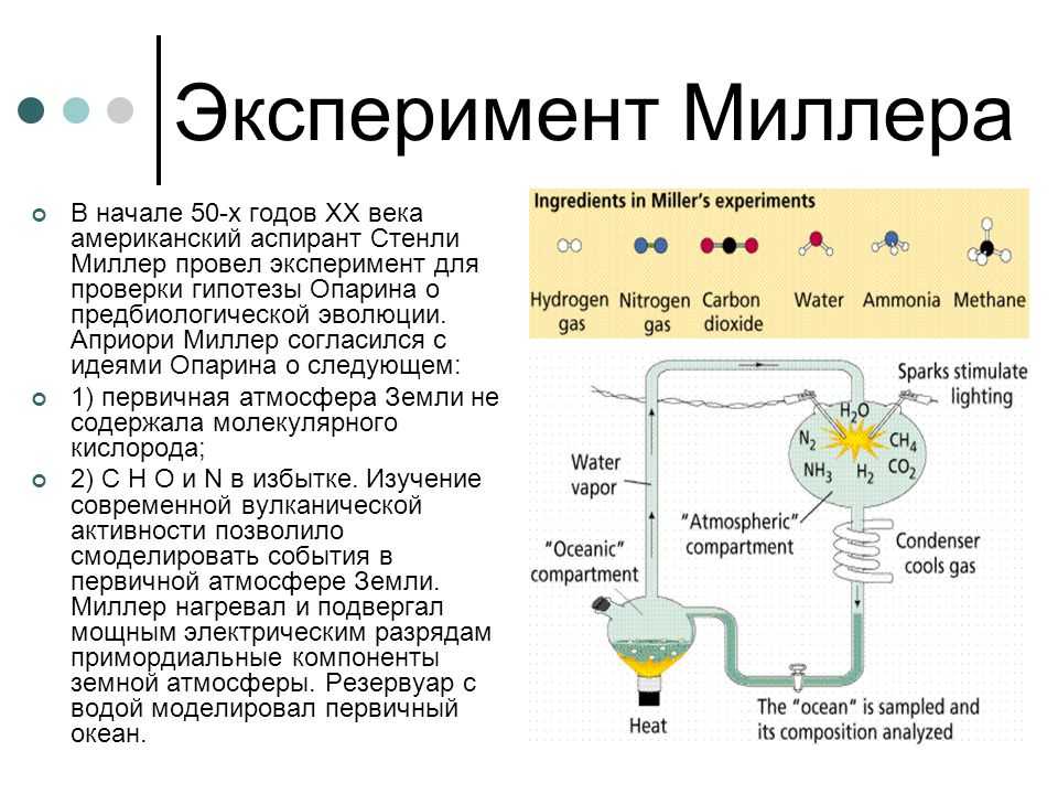 Почему наука не может обойтись без лабораторных животных? биолог, фармацевт, генетик и сооснователь wwf — об этике экспериментов — нож
