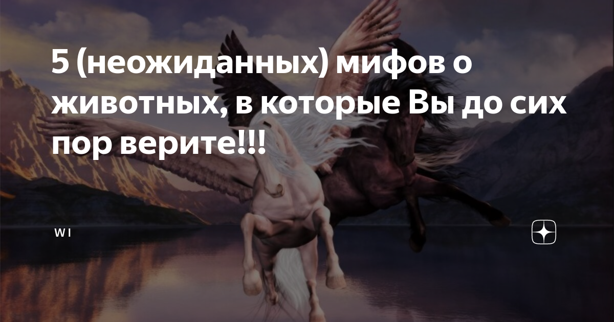 Окружение человека и его влияние на качество жизни
