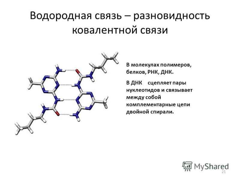Когда и кто открыл днк?