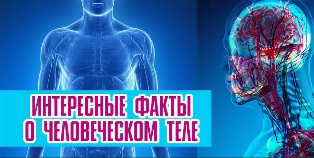 10 самых странных экспериментов в истории науки | блог 4brain