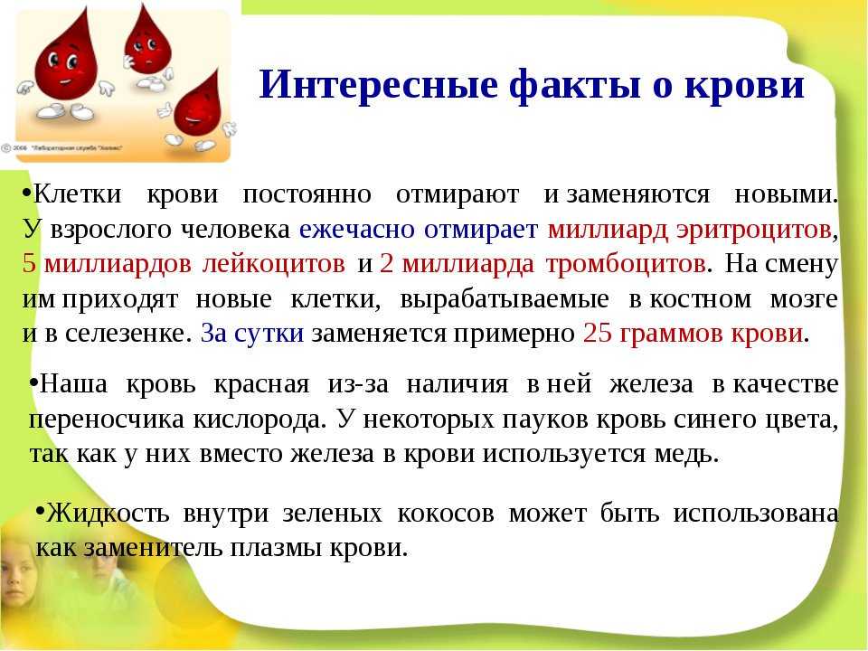 Кем были открыты группы крови? - узнавалка.про
