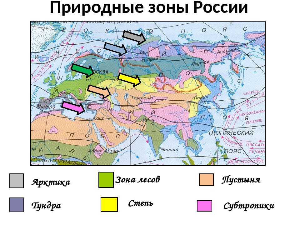 Основные природные зоны