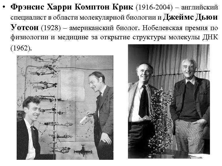 Учёба, мозг и днк: как обучение влияет на нас физиологически