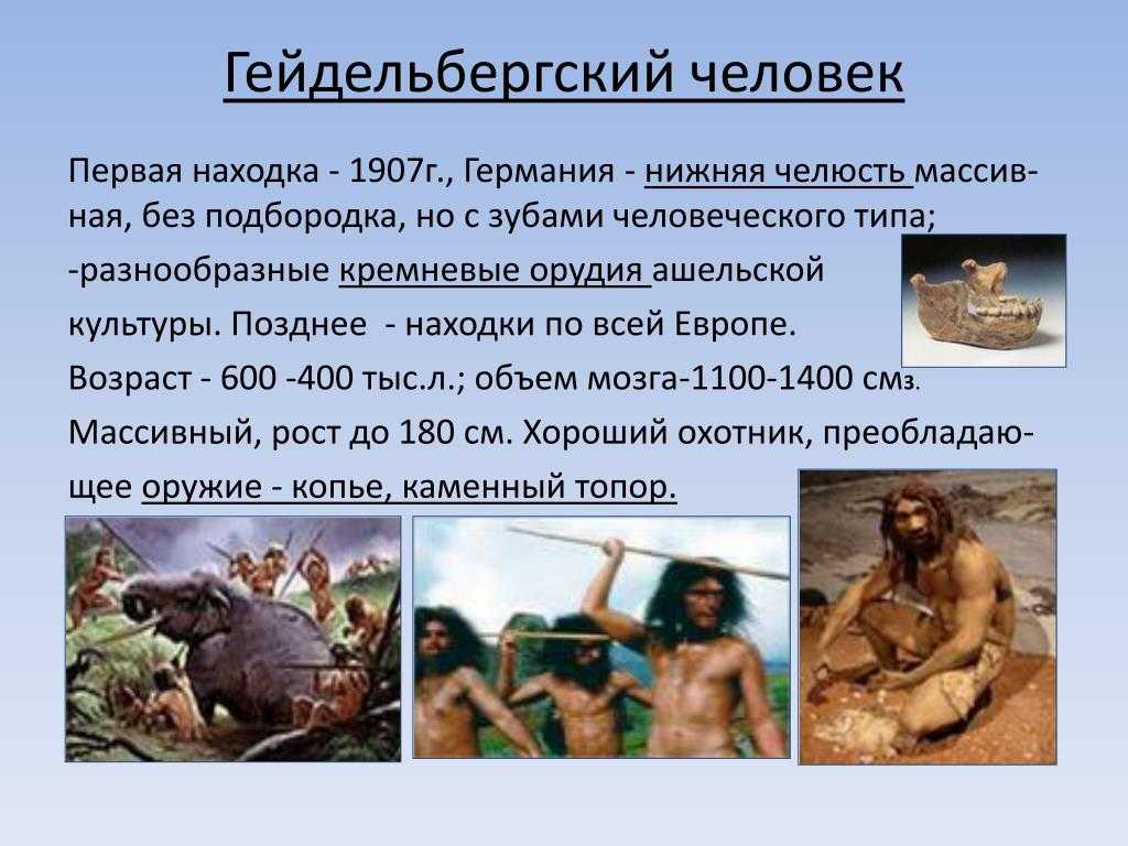 Гейдельбергский человек