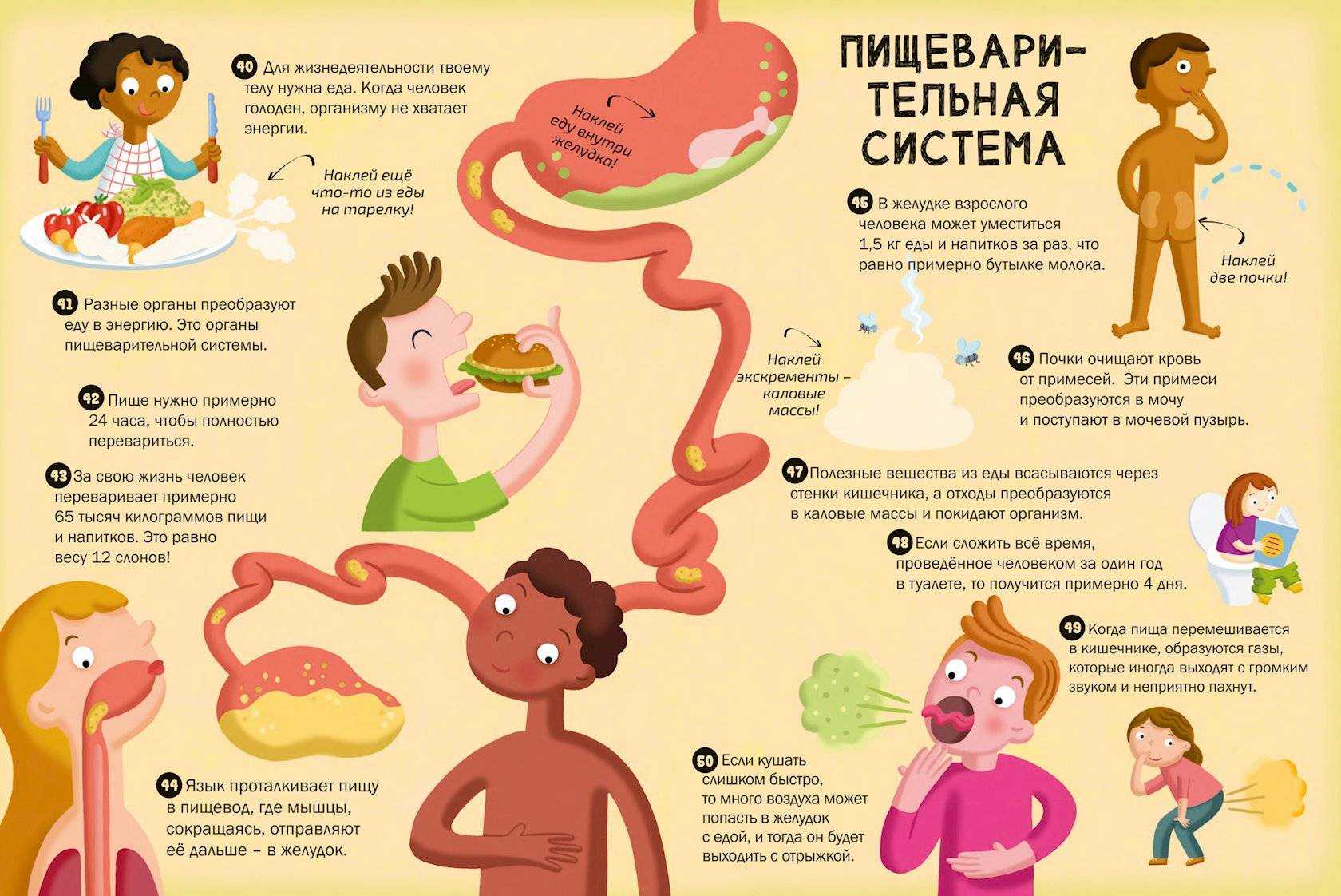 Удивительно то, как много интересного есть в этом мире ВсеЗнаешьру уверен, что большинство людей не знают об этих 39 интересных и странных фактах: 1 В