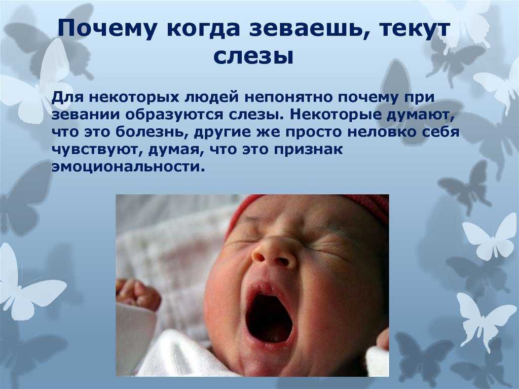 10 самых забавных зевающих животных |