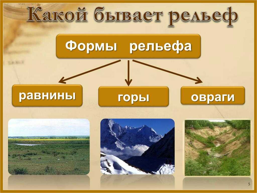 Характеристика и основные формы рельефа