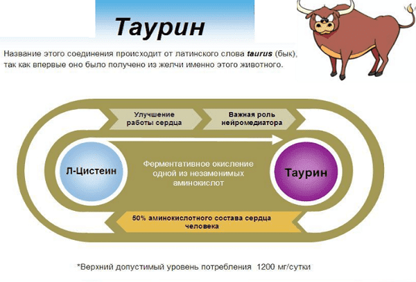 Таурин что такое? таурин польза и вред для человека.