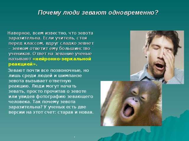 Почему кошки и коты зевают: причины зевоты, как отличить естественный и вынужденный процесс и чем помочь питомцу в случае необходимости