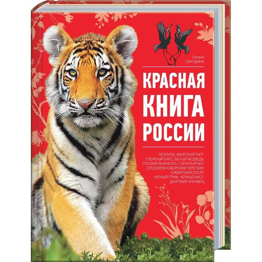 Красная книга россии: редкие и исчезающие животные
