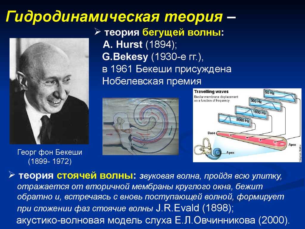 Георгий бекешский - abcdef.wiki