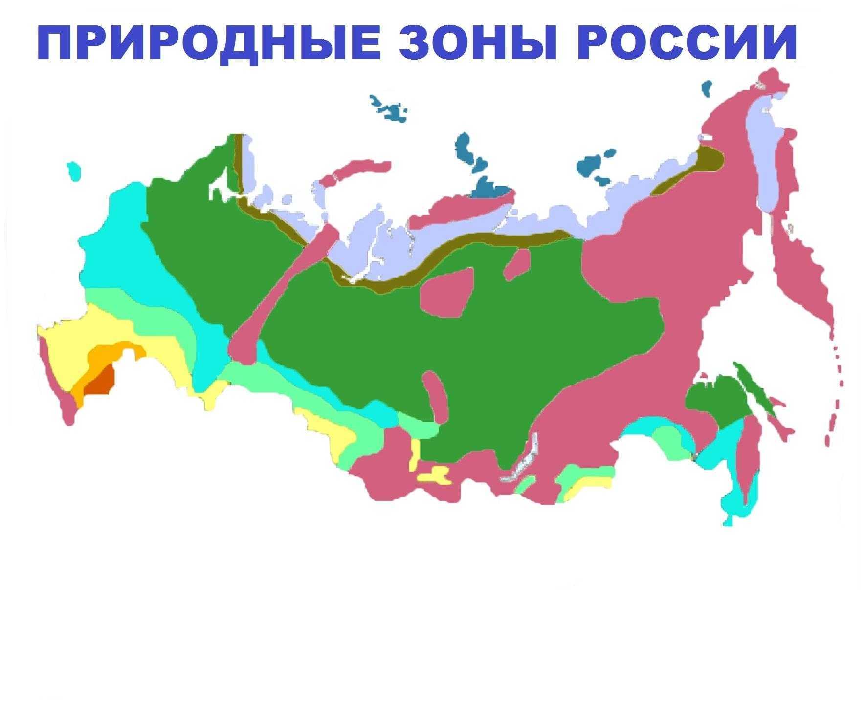 Описание природной зоны степи: характеристика и климатические условия, особенности флоры и фауны, природы