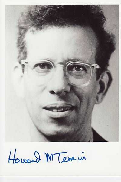Говард мартин темин - howard martin temin - dev.abcdef.wiki