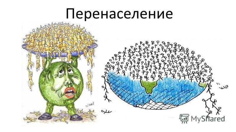 15 странных мировых рекордов, которые вряд ли кто-то захочет побить . милая я
