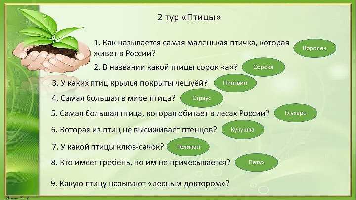 10 необычных природных явлений земли, которые являются загадкой для ученых | flytothesky.ru