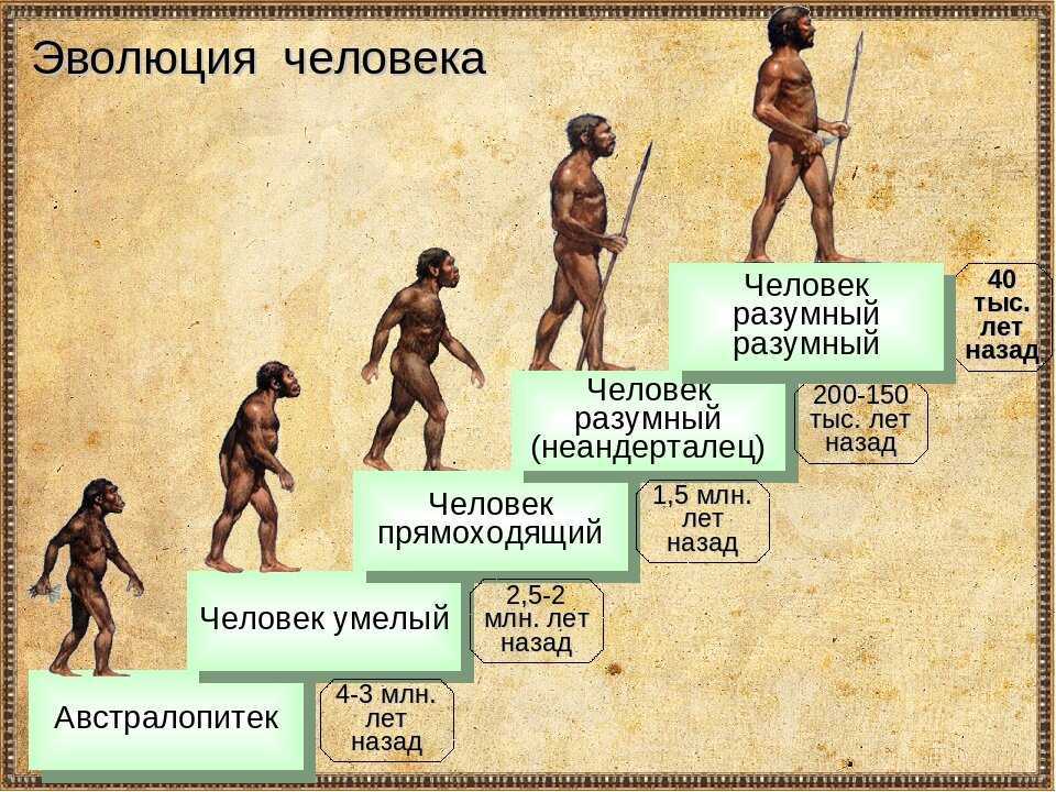 Единение ~ аналитическая информация ~ наука ~ от неандертальца к кроманьонцу (продолжение)