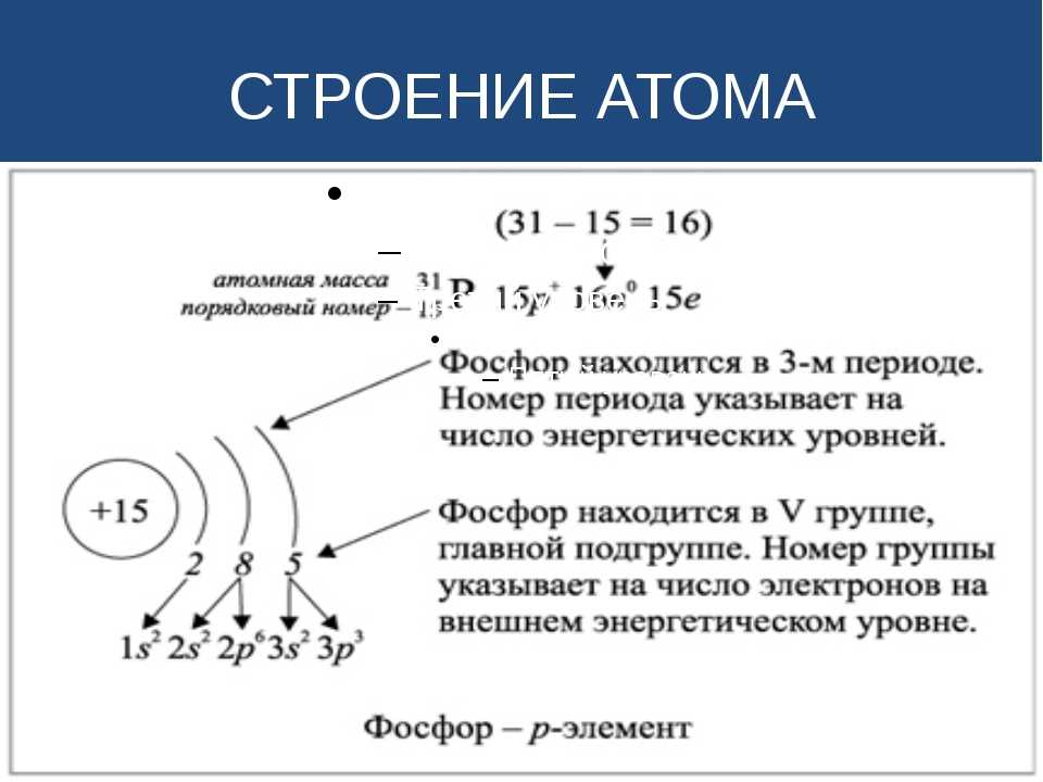 1.1.1. строение электронных оболочек атомов элементов первых четырех периодов. электронная конфигурация атома. основное и возбужденное состояние атомов.
